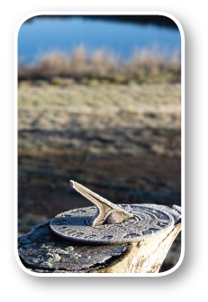 Nurrenyen Alpaca Stud